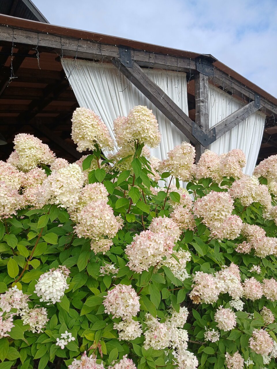 Гостиница Порт Весьегонск Весьегонск-209