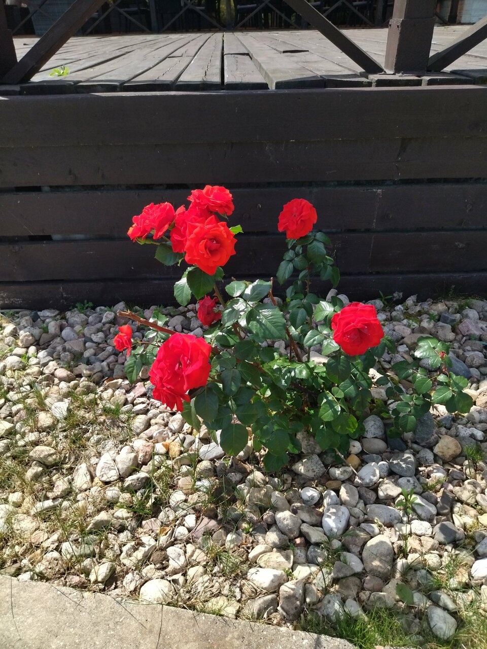 Гостиница Порт Весьегонск Весьегонск-243