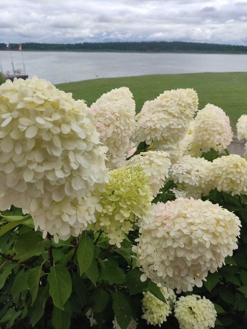 Гостиница Порт Весьегонск Весьегонск-253