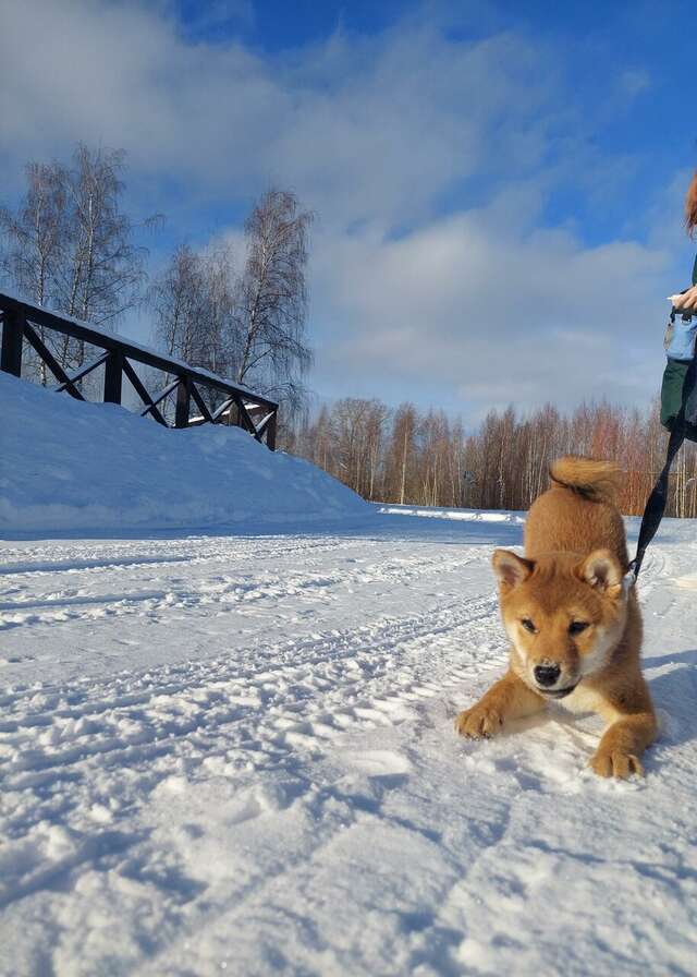 Гостиница Порт Весьегонск Весьегонск-23
