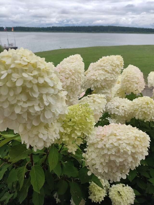 Гостиница Порт Весьегонск Весьегонск-252